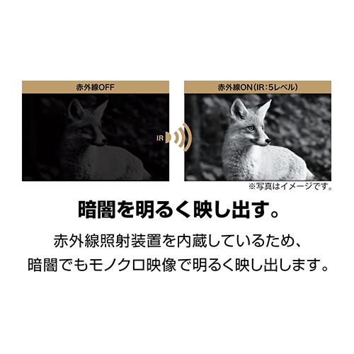 ケンコー・トキナー 即配 IRナイトレコーダー KC-NS07V