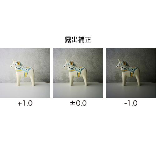 即配 (KT) トイカメラ PIENIFLEX M ピエニフレックスM KC-FM12