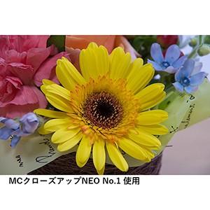 ケンコー・トキナー（KenkoTokina） 即配 67mm MCクローズアップ NEO