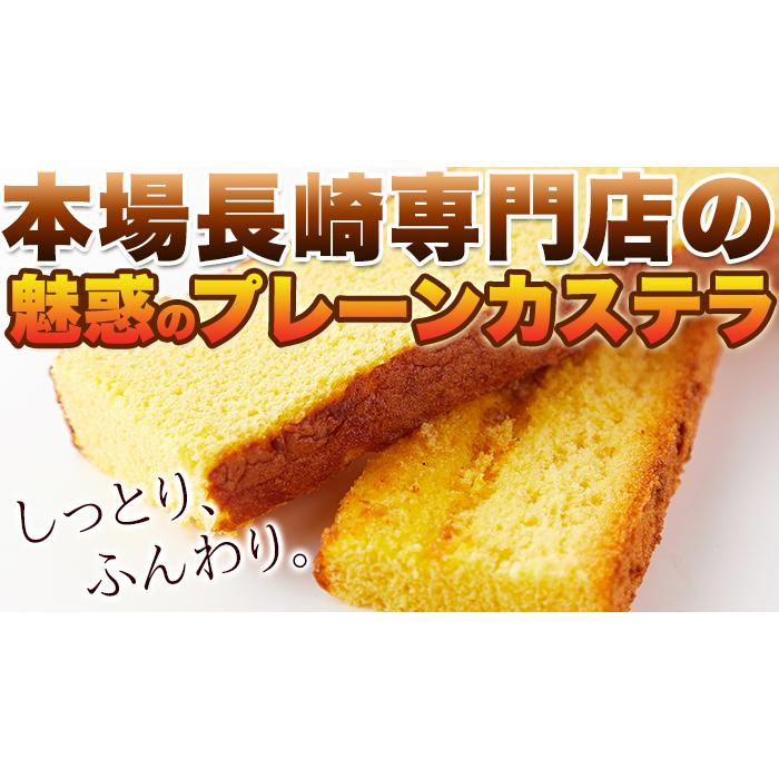 切り落とし】 魅惑の プレーン カステラ 約500g (約250g(2切) ×2本