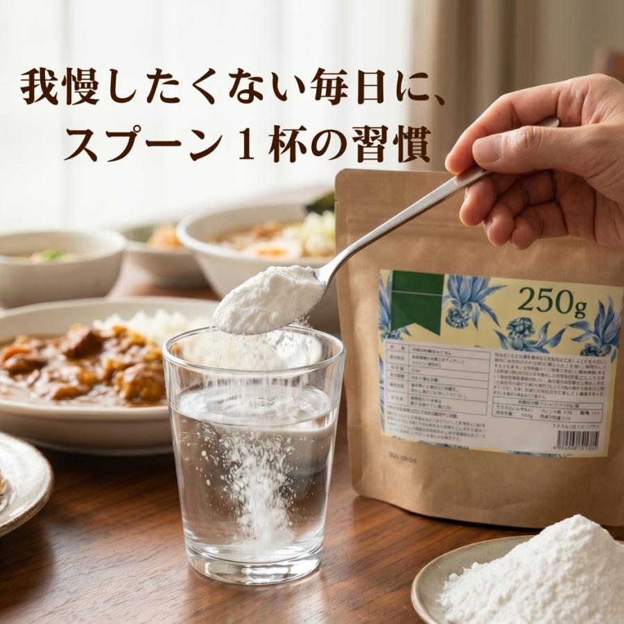 イヌリン 250g 有機 アガベイヌリン サプリ サプリメント パウダー