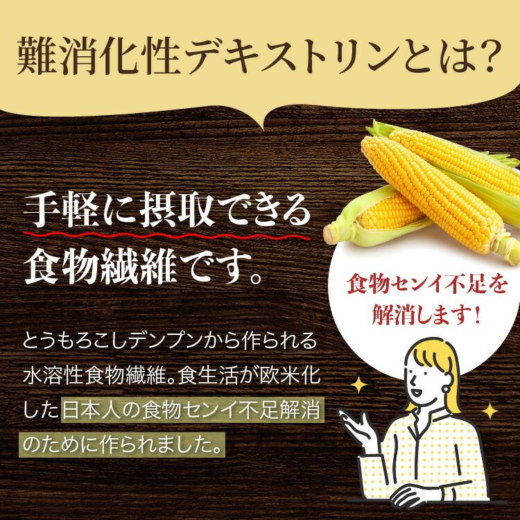 難消化性 デキストリン 渡邊薬品 サプリ 食物繊維 サプリメント 大容量