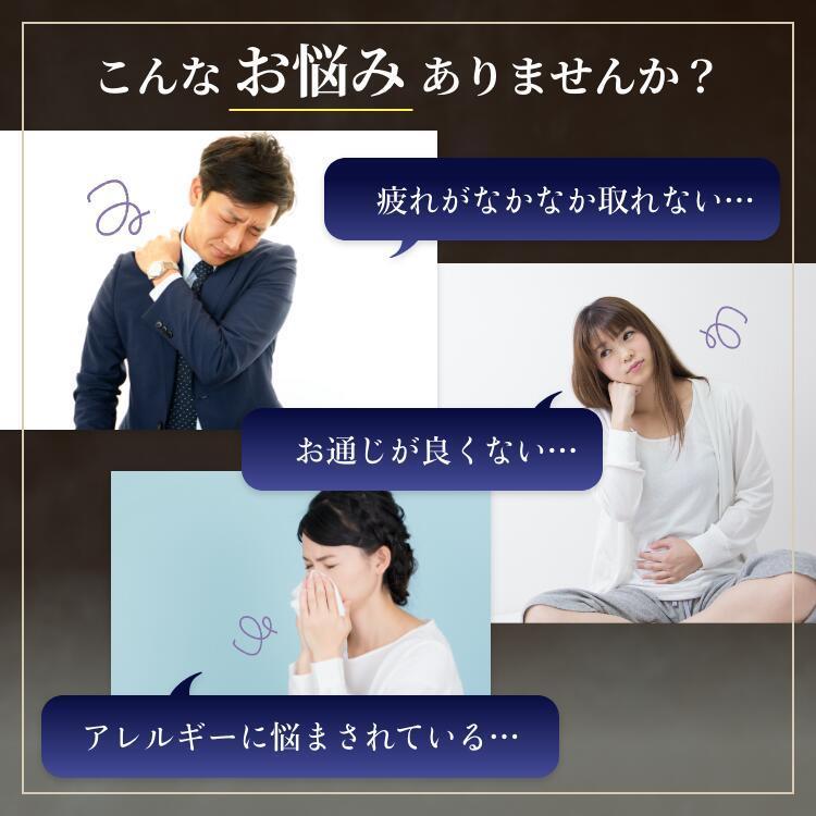 チャーガ サプリ サプリメント カバノアナタケ β-グルカン アガリクス 長寿 健康食品 βグルカン 国産 1本 | ブランド登録なし | 05