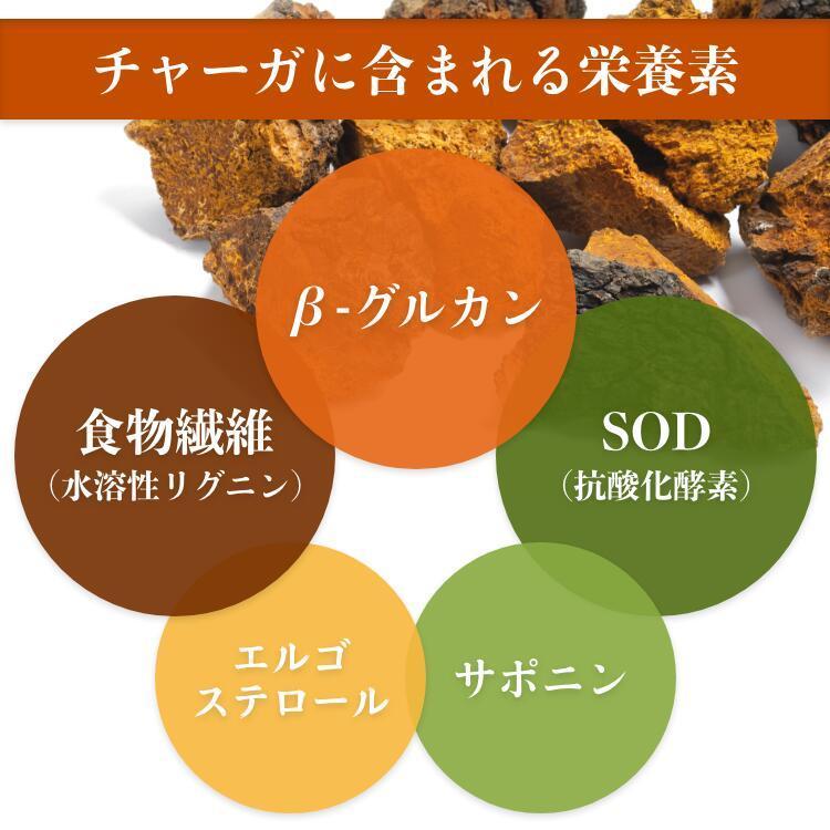 チャーガ サプリ サプリメント カバノアナタケ β-グルカン アガリクス 長寿 健康食品 βグルカン 国産 1本 | ブランド登録なし | 06