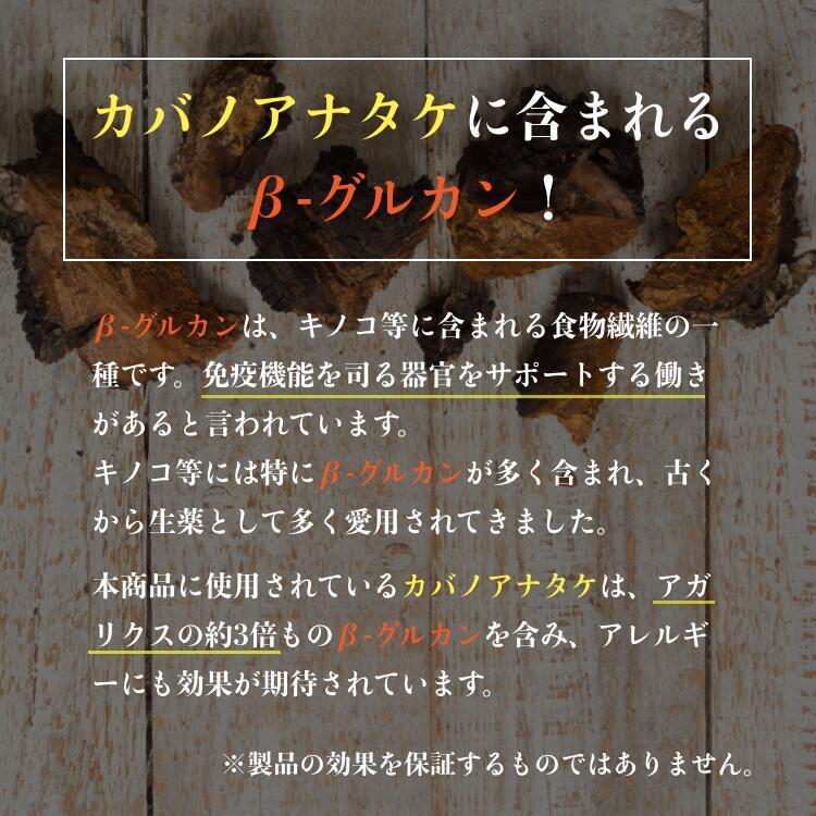 チャーガ サプリ サプリメント カバノアナタケ β-グルカン アガリクス 長寿 健康食品 βグルカン 国産 1本 | ブランド登録なし | 07