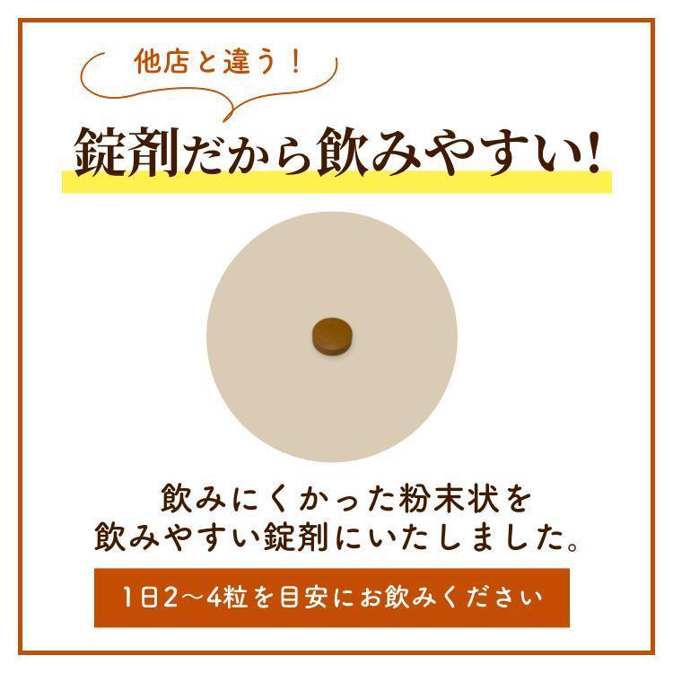 チャーガ サプリ サプリメント カバノアナタケ β-グルカン アガリクス 長寿 健康食品 βグルカン 国産 1本 | ブランド登録なし | 08
