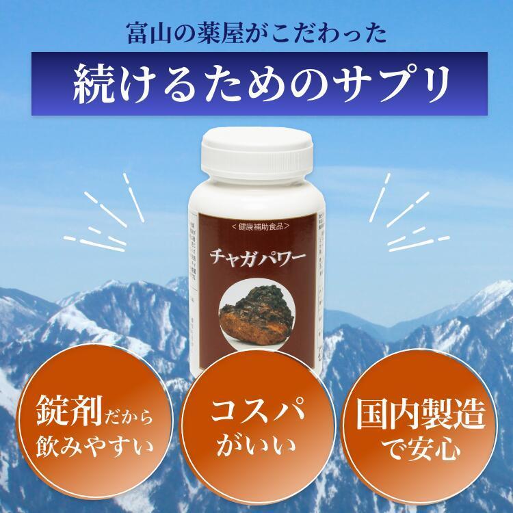 チャーガ サプリ サプリメント カバノアナタケ β-グルカン アガリクス 長寿 健康食品 βグルカン 国産 1本 | ブランド登録なし | 09