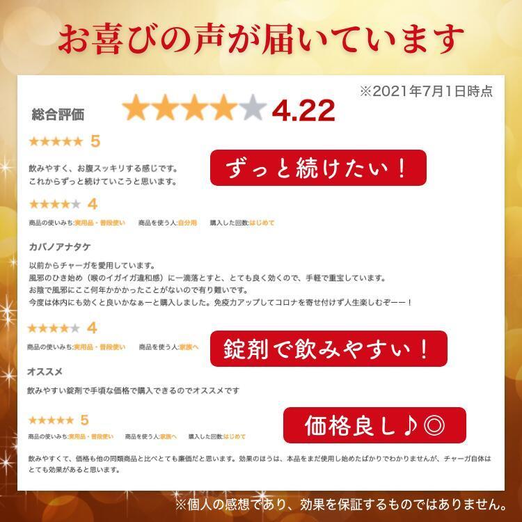 チャーガ サプリ サプリメント カバノアナタケ β-グルカン アガリクス 長寿 健康食品 βグルカン 国産 1本 | ブランド登録なし | 03