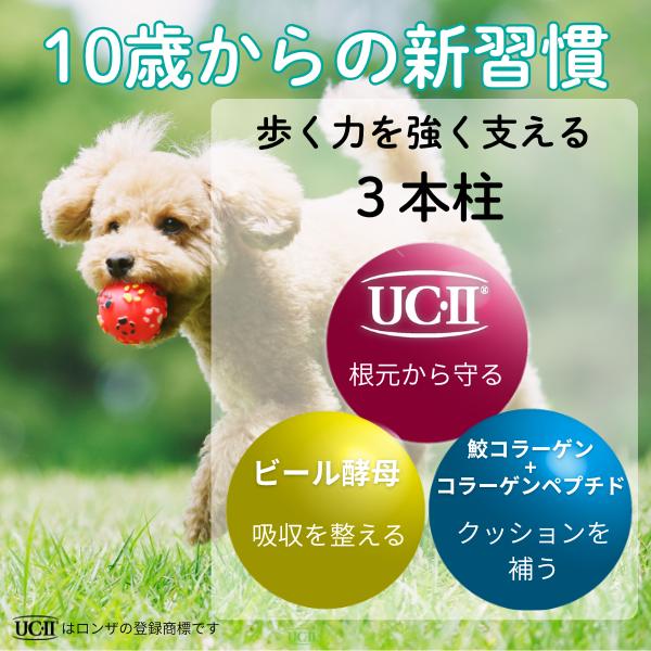 犬猫用栄養補助食品 犬用 猫用 関節 サプリ UC-II きときとあにまる