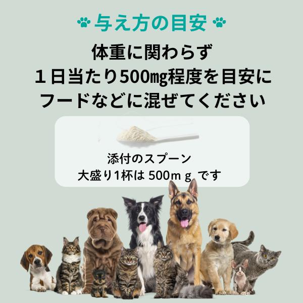 犬猫用栄養補助食品 犬用 猫用 関節 サプリ UC-II きときとあにまる