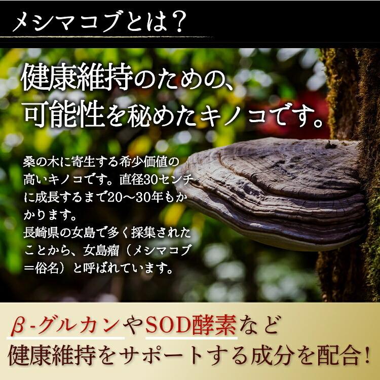 【クーポン配布中】  メシマコブ サプリ 渡邊薬品 サプリメント カバノアナタケ 天然 粉末 100％ パウダー 国産 30g 3本｜kenkotoyama｜03