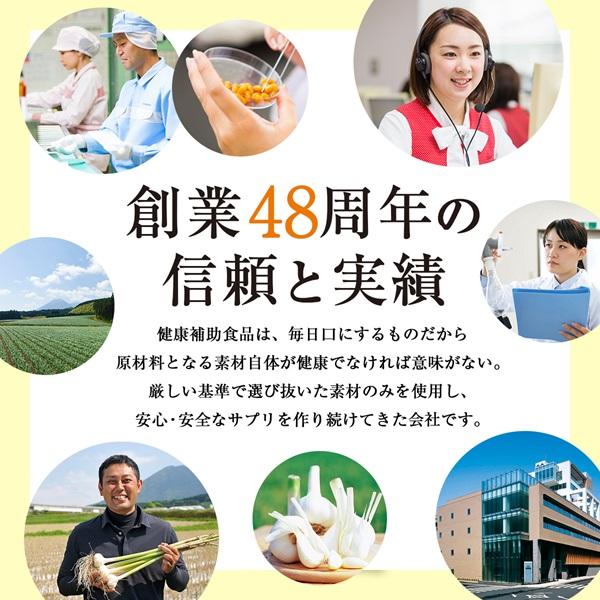 dha epa サプリメント オメガ3 DHA EPA 海藻由来 α-リノレン酸 生活習慣 不飽和脂肪酸 かしこく摂りたいDHA&EPA 健康家族 公式 120粒入｜kenkou-kazoku｜02