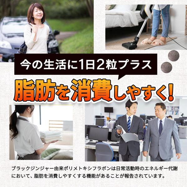 健康家族 ブラックジンジャー ダイエットサプリ お腹の脂肪 サプリ