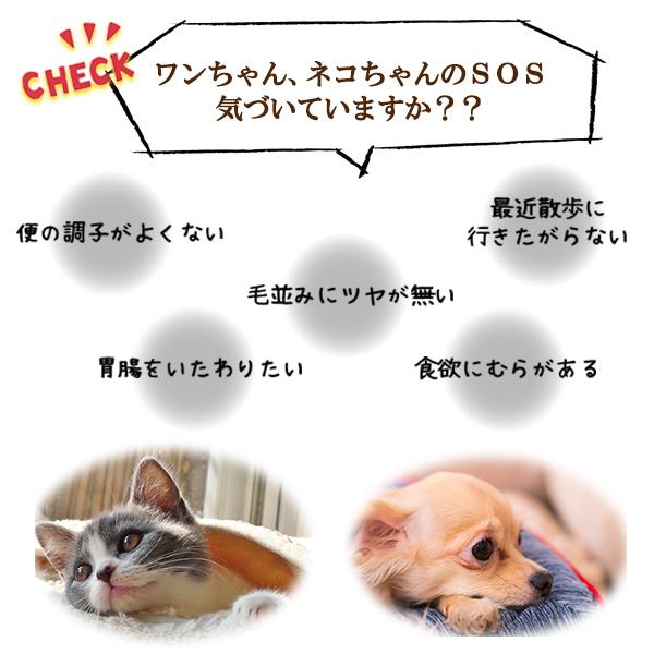 ペットサプリメント ペット 乳酸菌 犬 猫 ビール酵母 ラクトフェリン Dlメチオニン オリゴ糖 ササミ味 ペットの生きた乳酸菌 健康家族 公式 50g 健康家族公式 Paypayモール店 通販 Paypayモール