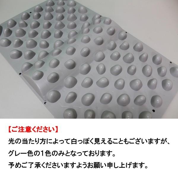 赤棒 ウォークマットII 裏板セット 入門書 官足法 ベーシック3点セット