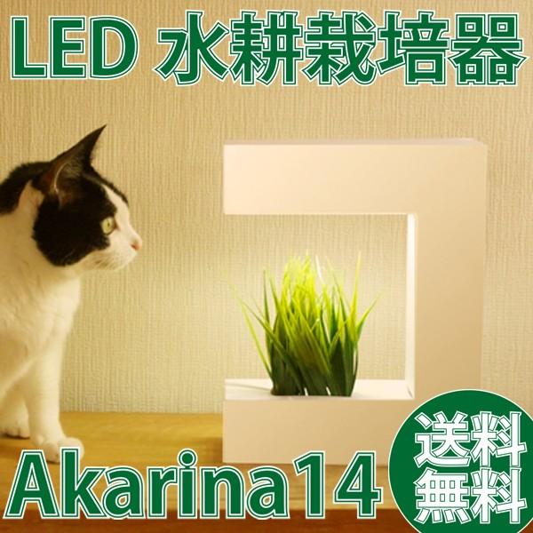 数量は多 水耕栽培 キット 家庭菜園 野菜 花 植物 ペット 猫 うさぎ インテリア Led水耕栽培キット Akarina14 オリンピア照明 サラダ菜種子セット付属 送料無料 コンビニ受取対応商品 Www Maxipiso Com Ar