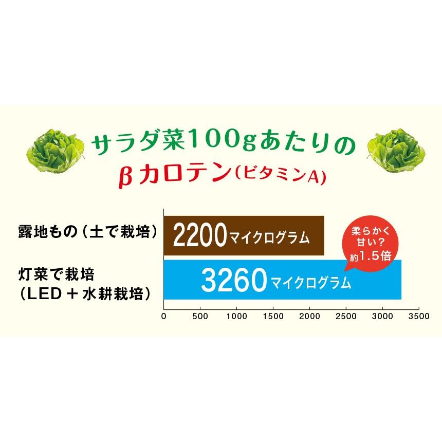 水耕栽培 キット おすすめ オシャレ インテリア 家庭菜園 野菜 花 植物 Led水耕栽培キット Akarina15 オリンピア照明 サラダ菜種子セット付属 Orinp 002 健康のお手伝い Com Yahoo 店 通販 Yahoo ショッピング