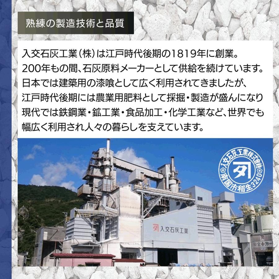 水酸化カルシウム　＜食品添加物＞　こんにゃくや漬物づくり・野菜洗浄に【送料無料】 |  | 02
