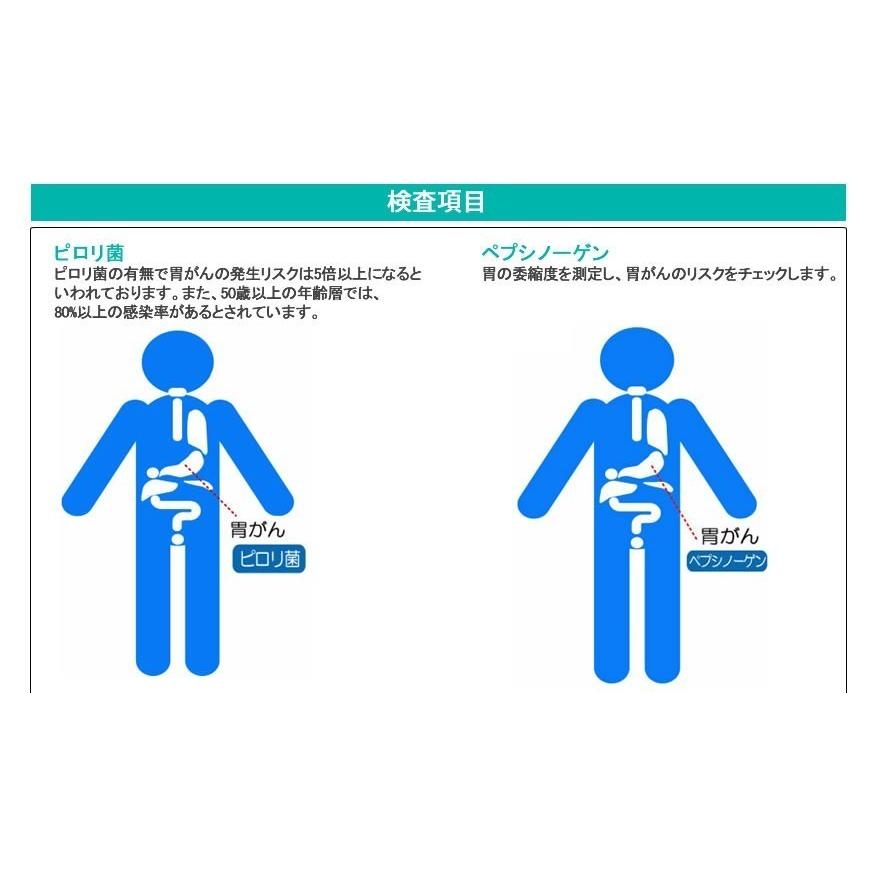 胃がんリスク層別化検査（ABC分類）2個セット【デメカル血液検査キット