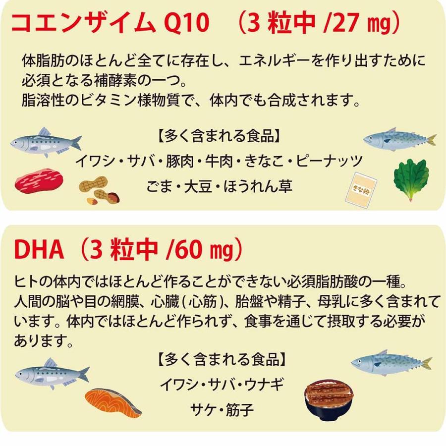 3種のカロテノイド配合【アイ・キサンチン】 |  | 06