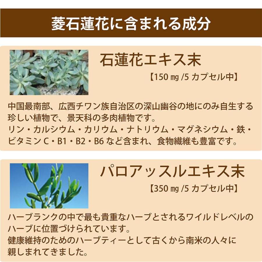 【菱石蓮花(ひしせきれんか)】 |  | 05