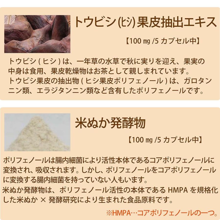 【菱石蓮花(ひしせきれんか)】 |  | 06