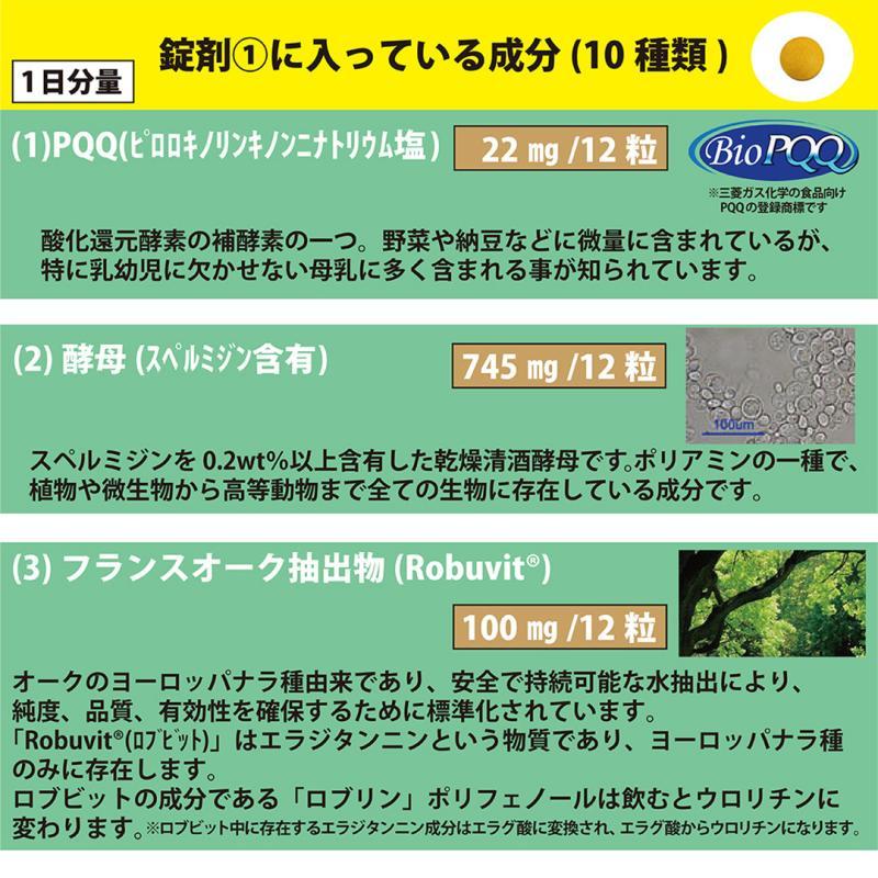 NMN、5-デアザフラビン、PQQ、高吸収ケルセチン配合【リパック-11】 |  | 05