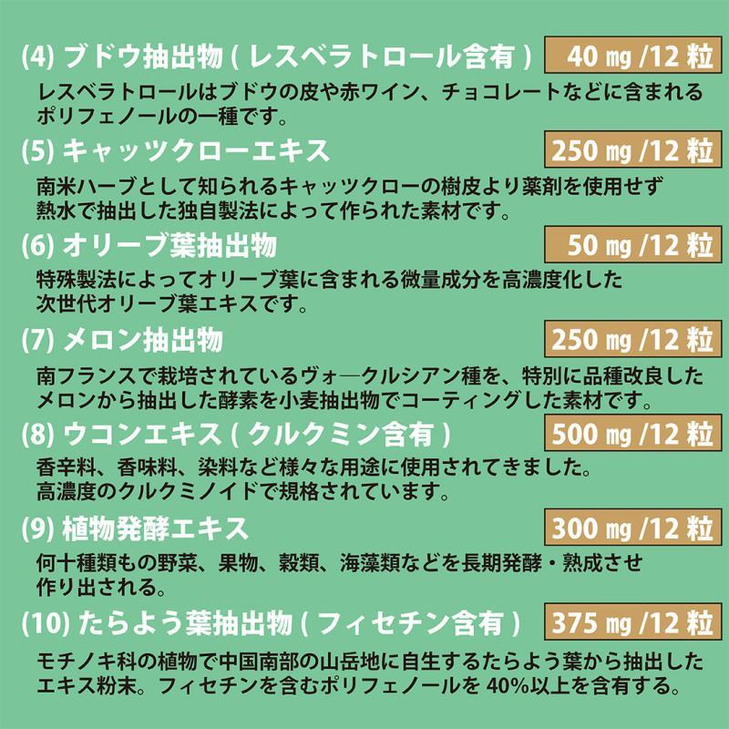 NMN、5-デアザフラビン、PQQ、高吸収ケルセチン配合【リパック-11】 |  | 06