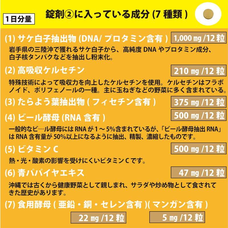 NMN、5-デアザフラビン、PQQ、高吸収ケルセチン配合【リパック-11】 |  | 07