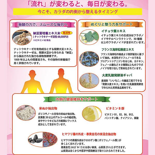 SARAMEDEI（サラメディ）イチョウ葉エキス・フランス海岸松樹皮エキス・納豆菌培養エキス末・ギャバなど7種の成分配合 |  | 01