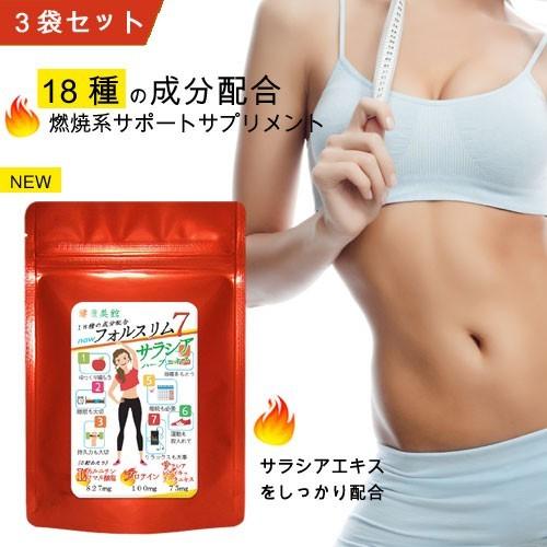 お試し ダイエット サプリメント 送料無料 ｌカルニチンaリポ酸 プロティン 燃焼系サポートサプリ フォルスリム7ダイエット系 64粒 Fol 64a サプリの健康美館 通販 Yahoo ショッピング