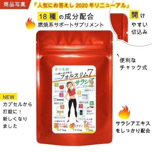 お試し ダイエット サプリメント 送料無料 ｌカルニチンaリポ酸 プロティン 燃焼系サポートサプリ フォルスリム7ダイエット系 64粒 Fol 64a サプリの健康美館 通販 Yahoo ショッピング