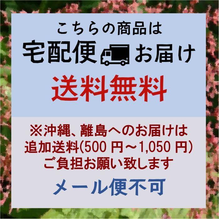 エルダー ブレンド 45袋（3g入り ティーバッグ ×45袋） Elder Blended Tea |  | 06
