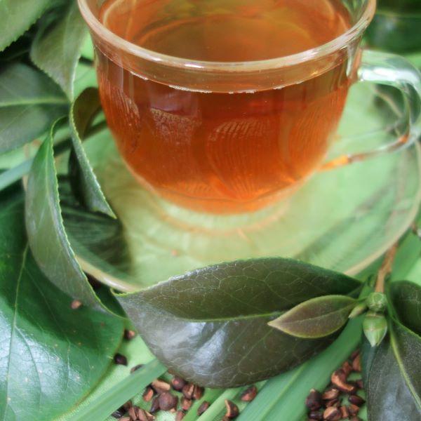 夏きりり茶 20袋（3g入り ティーバッグ ×20袋）Summer Tea Blend |  | 10