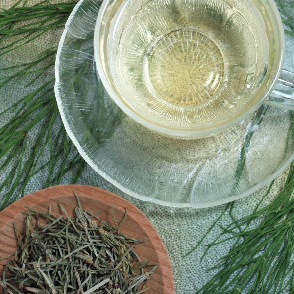 スギナ茶 20g Horsetail Tea　国産｜kenkouchagallery｜06