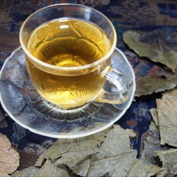 杜仲茶 5袋（3g入り ティーバッグ ×5袋）日本産 Tochu Tea (Du zhong Tea) 国産 : 健康茶ギャラリー Yahoo ...