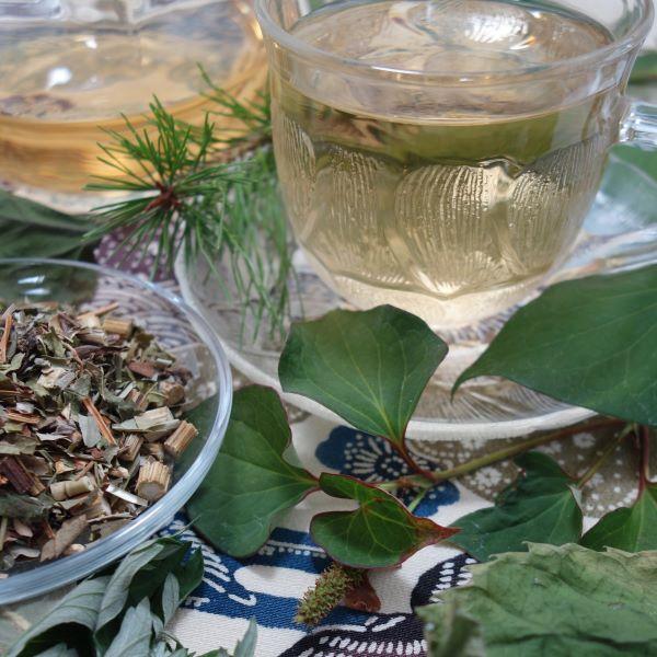 よろずの森の養生茶 80g Lush Forest Wellness Tea｜kenkouchagallery｜10