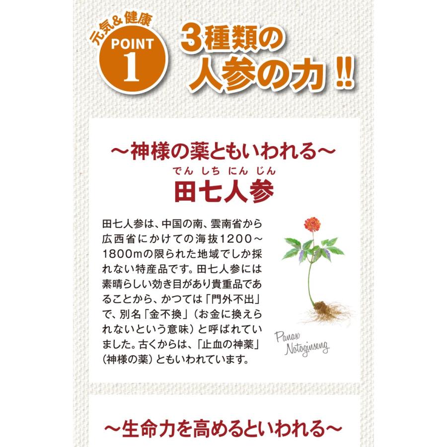 気元人参720ml×1本 3種類の人参 高麗人参 田七人参 酵素分解 ケイ素