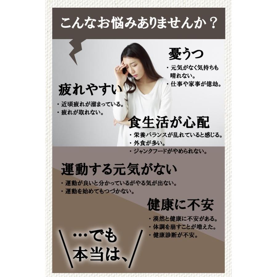 気元人参720ml×1本 3種類の人参 高麗人参 田七人参 酵素分解 ケイ素