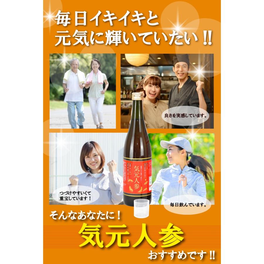 気元人参720ml×1本 3種類の人参 高麗人参 田七人参 酵素分解 ケイ素