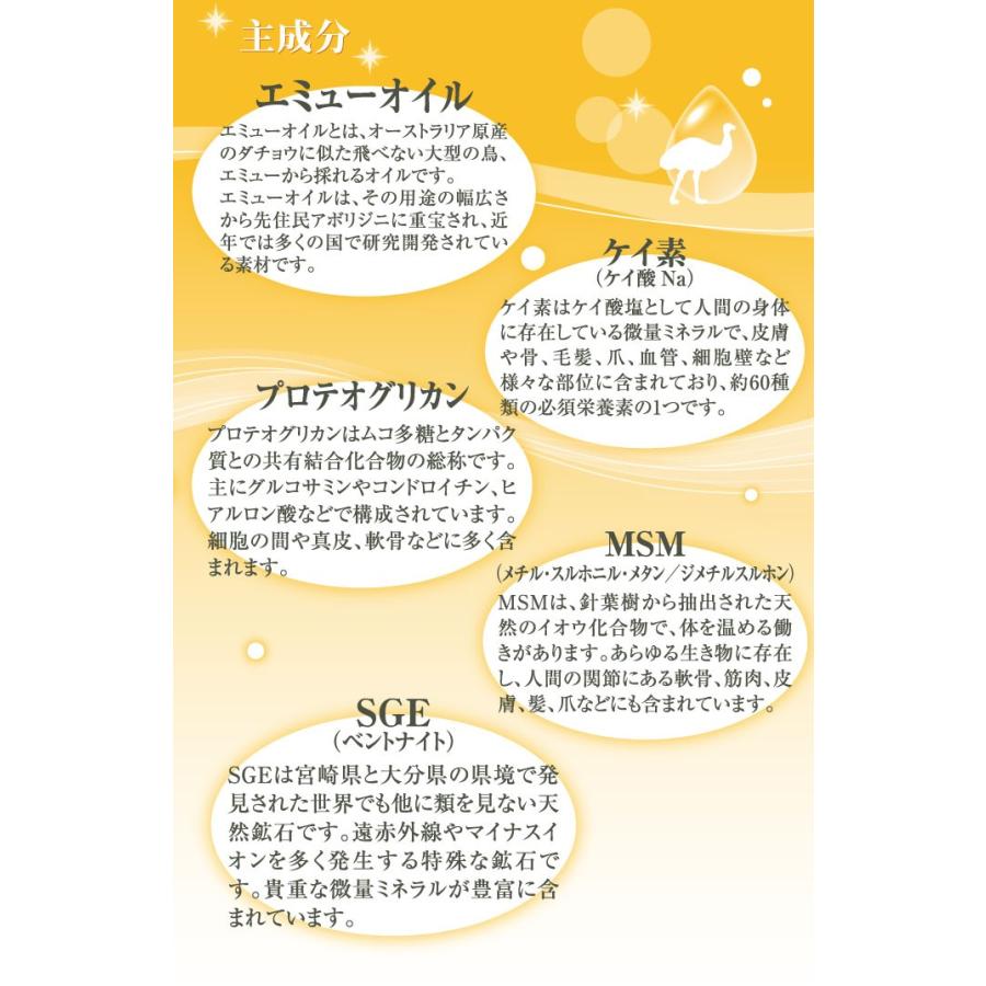 シリカ ケイ素 ケイ酸Na 配合 ボディクリーム リピエーノ 80g 全身