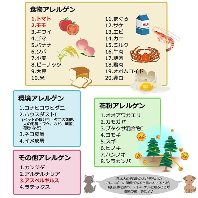 アレルギー検査 36項目（食物アレルゲン・花粉アレルゲン・環境アレルゲン 他） 【小型遠心分離機「セパロン」付き】自宅でできる検査キット セパロン