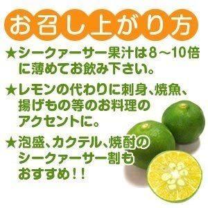 沖縄県産 100% ぎゅっと シークヮーサー 2000ml ストレート 1本 送料