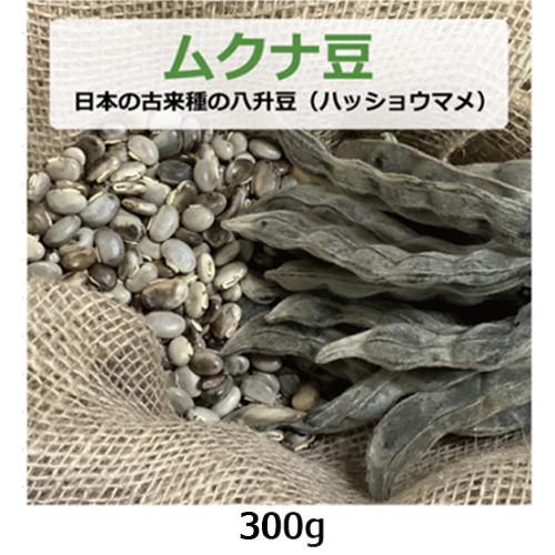 ムクナ豆 （日本の古来種の八升豆） 300g （ハッショウマメ） 【ゆう