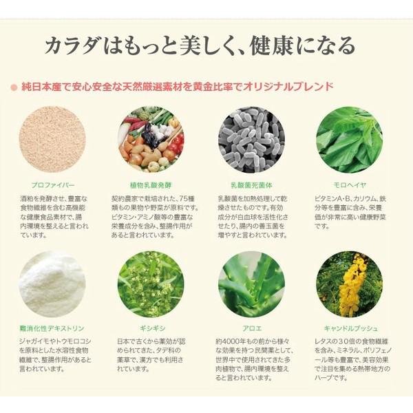 LALA slim 酵素 スーパーリパーフェ ララスリム 顆粒タイプ : ヘルス