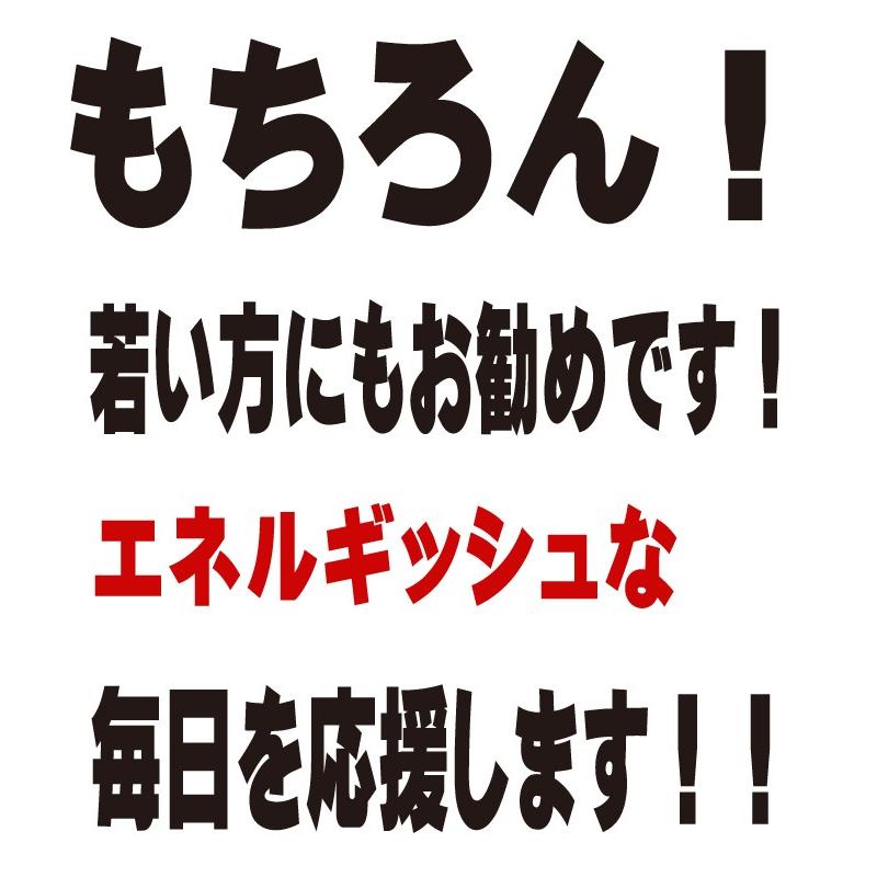 ナイトパワー サプリメント マカ サプリ 1袋 30日 1ヵ月分 黒にんにく シトルリン アルギニン 筋トレ｜kenkououendan｜09