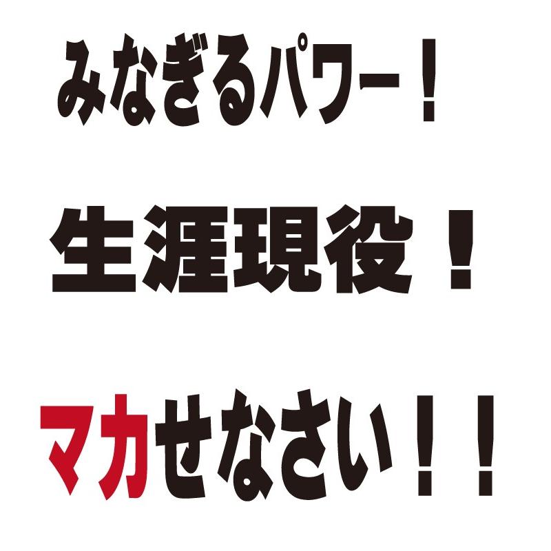 ナイトパワー サプリメント マカ サプリ 1袋 30日 1ヵ月分 黒にんにく シトルリン アルギニン 筋トレ｜kenkououendan｜10