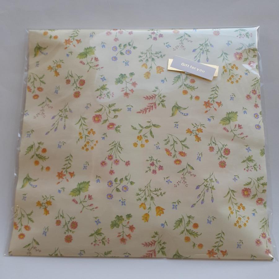 ラッピング 包装紙 ギフト用 ランダム 母の日 2023 : 健康応援団