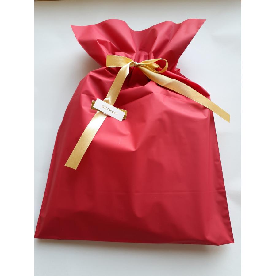 ラッピング 包装紙 ギフト用 ランダム 母の日 2023 : 健康応援団