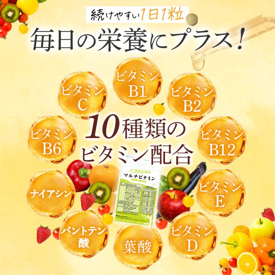 健康応援団 マルチビタミン マルチミネラル サプリ ベースサプリセット  